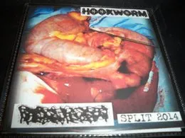 Split 2014 von Hookworm – Cover
