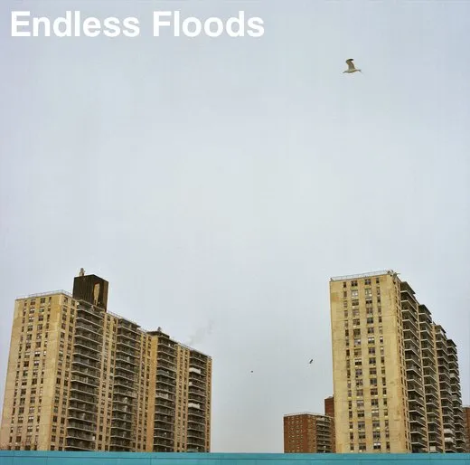 II von Endless Floods – Album Cover