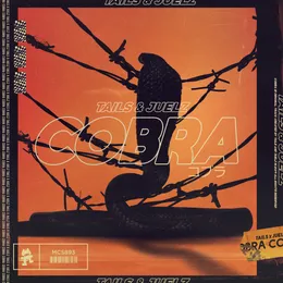 Cobra von Tails – Album Cover