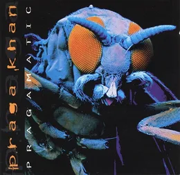 Pragamatic von Praga Khan – Album Cover