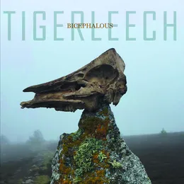 Bicephalous von Tigerleech – Album Cover