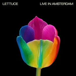 Live in Amsterdam von Lettuce – Cover