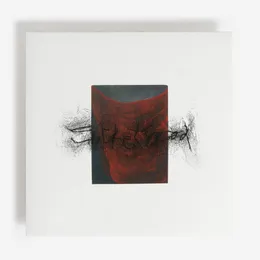 Harj-o-Marj von Sockethead – Album Cover