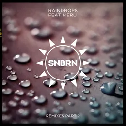 Raindrops (remixes, Pt. 2) von SNBRN – Cover
