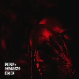 THE IX von BLVCK – Cover