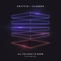 All You Need to Know (The Remixes) von SLANDER – Album Cover