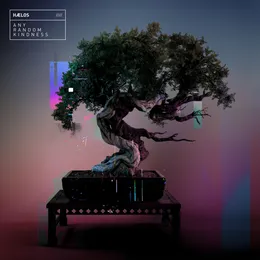 Any Random Kindness von HÆLOS – Album Cover