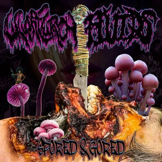 Spored & Gored von Fluids – Album Cover
