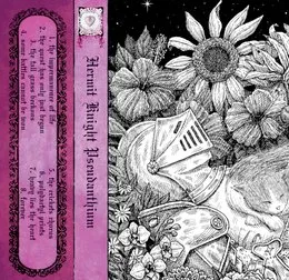 pseudanthium von Hermit Knight – Album Cover