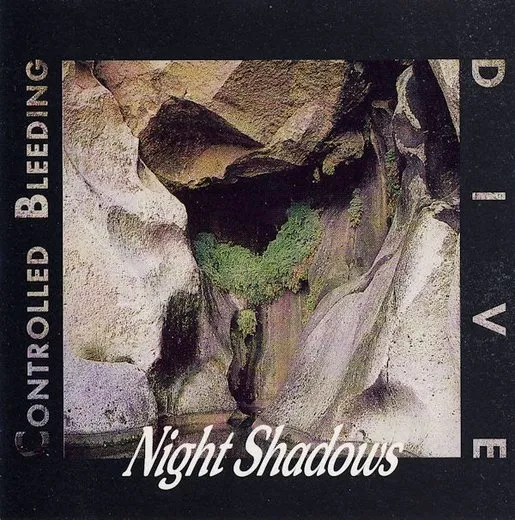 Night Shadows
