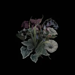 Wildflowers von Nhor – Cover