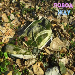 Жду von sportcafé – Album Cover