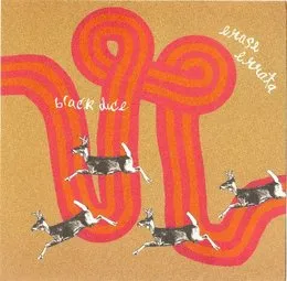 Black Dice / Erase Errata von Black Dice – Album Cover