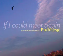 If I Could Meet Again von Pudding – Album Cover