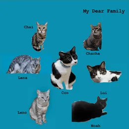 My Dear Family von 路傍の石 – Album Cover