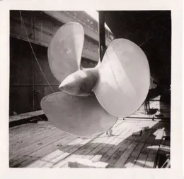 Le singe qui lèche le linge qui sèche von Sun Plexus – Album Cover