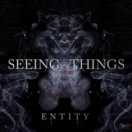 Entity von Seeing Things – Cover