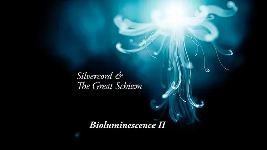 Bioluminescence II