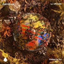 Waiting for You von QUIET BISON – Album Cover
