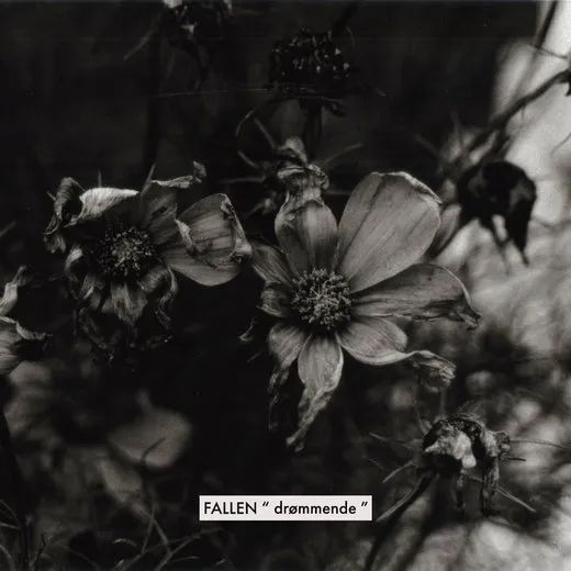 drømmende von Fallen – Album Cover