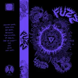 Levitation Sessions von Fuzz – Album Cover