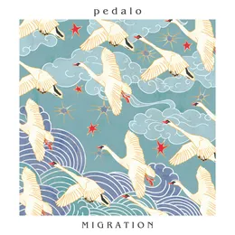 Migration von Pedalo – Cover