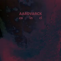 Co In Ci von Aardvarck – Album Cover