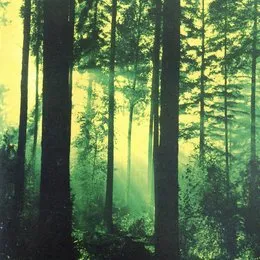 Forests of Witchery von Thy Serpent – Album Cover