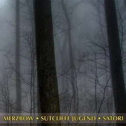Merzbow / Sutcliffe Jügend / Satori von Satori – Album Cover