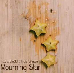 Mourning Star von JID – Album Cover