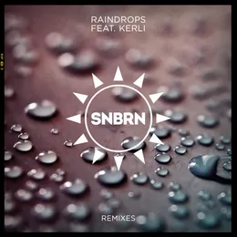 Raindrops (remixes) von SNBRN – Cover
