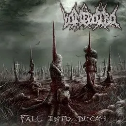 Fall Into Decay von Vomepotro – Album Cover
