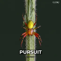 Pursuit von Evolved – Cover