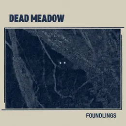 Foundlings von Dead Meadow – Album Cover