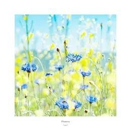 Flowers von [.que] – Cover