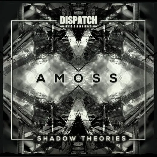 Shadow Theories