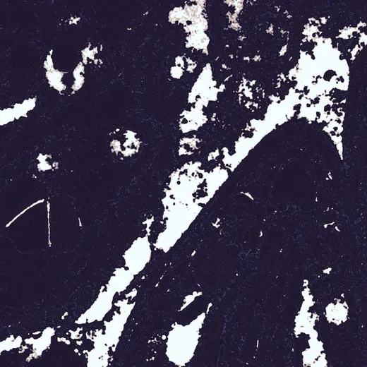 _crow