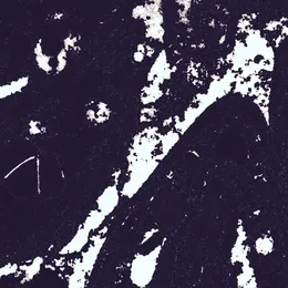 _crow von Bad Algorithm – Cover