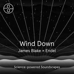 Wind Down von James Blake – Album Cover