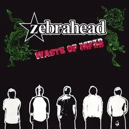 Waste of MFZB von Zebrahead – Album Cover