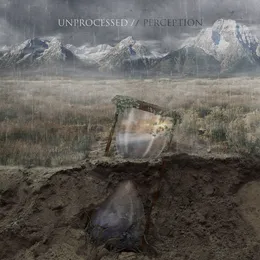 Perception von Unprocessed – Album Cover