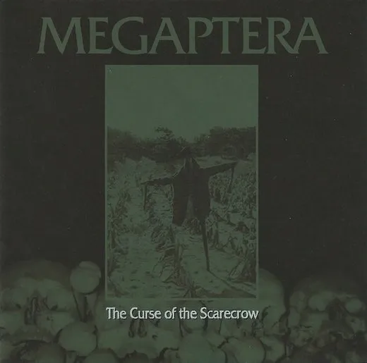 The Curse of the Scarecrow