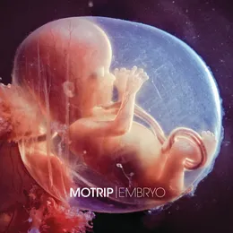 Embryo von MoTrip – Album Cover