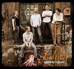 Anybody's Guess von Elixir – Album Cover