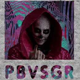 Swallow at the Hollow von Panda Bear – Cover