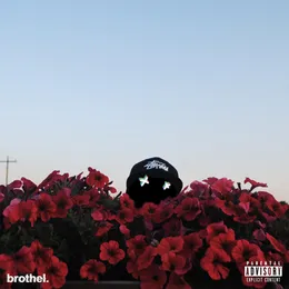 Whiz von brothel. – Album Cover