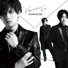 Version 5.0 von WANDS – Album Cover