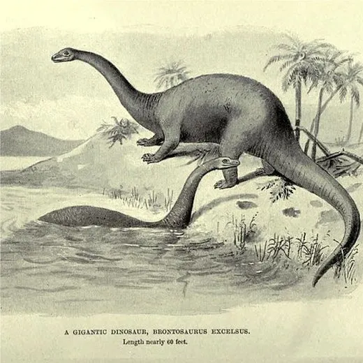 Brontosaurus