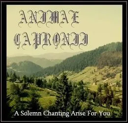 A Solemn Chanting Arise for You von Animae Capronii – Album Cover