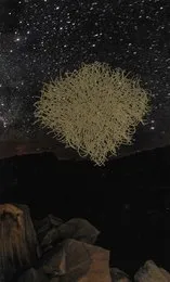 həm pt I von 𝔪𝔬𝔲𝔫𝔱 – Album Cover